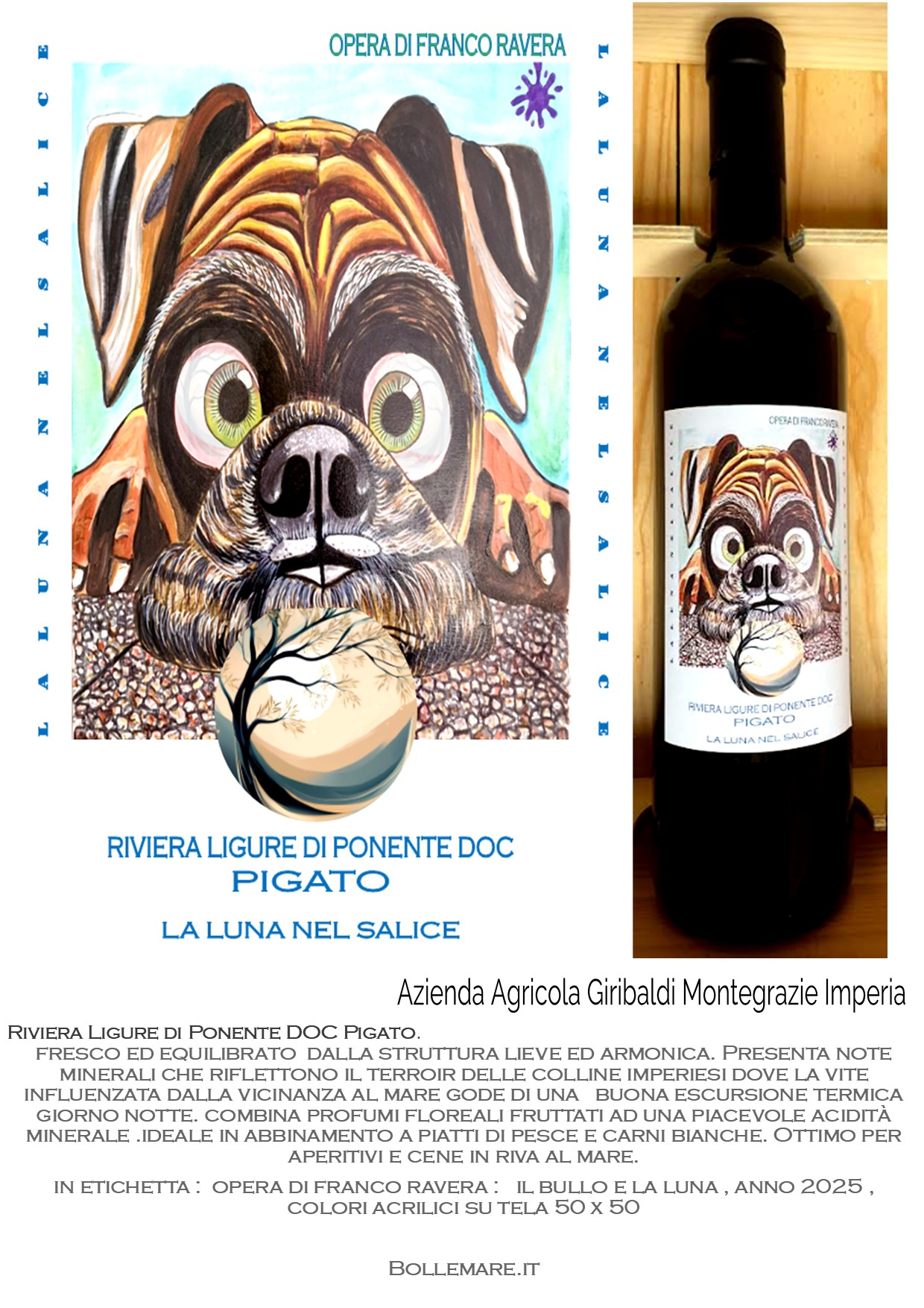 Pigato Bullo Catalogo Dig jpeg